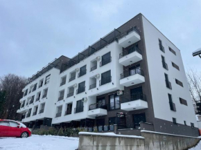 Apartman Vojinovic